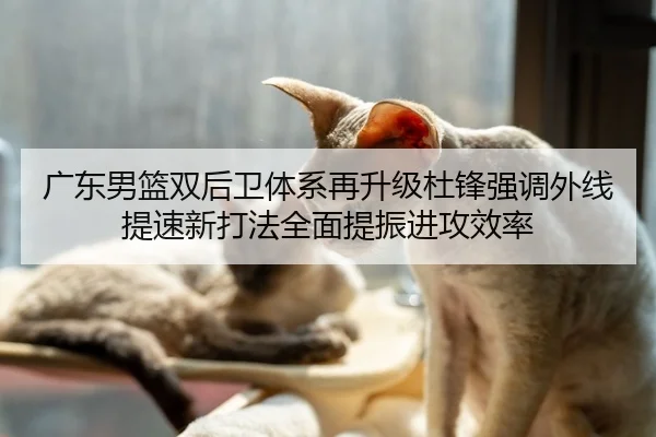 广东男篮双后卫体系再升级杜锋强调外线提速新打法全面提振进攻效率